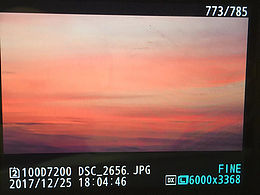 photo1