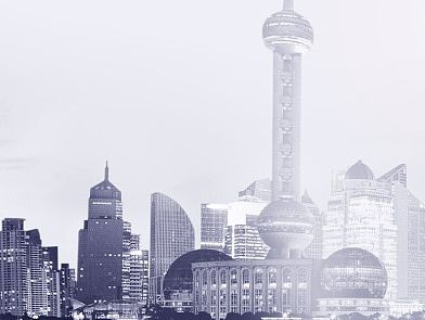天猫海报背景 淘宝背景 女装海报背景 花朵背景 小清新背景 叶子背景质感背景 秋天背景 枫叶背景欧美