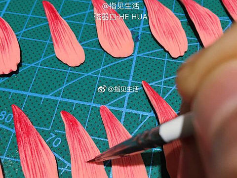 要做好一朵花！先拆完一朵花！从里到外的观察！