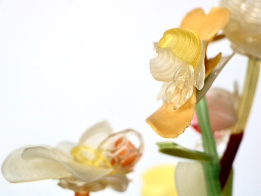 vitality 生机