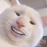 Ayaozi的头像