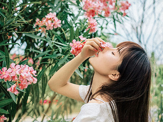 花开的声音【三亚光合故事】