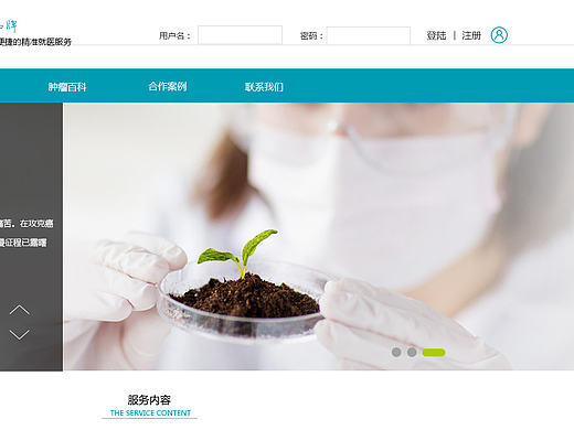 医疗企业网站