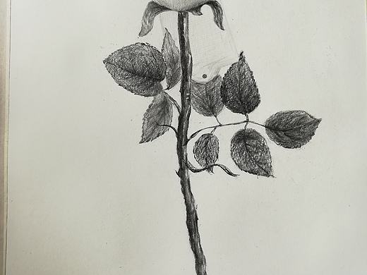 素描（个人主页-ZMzE5NTEyMDA=） - 其他 - 站酷设计师念安离人原创素材 - 站酷ZCOOL