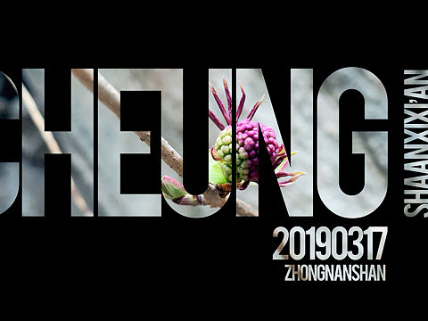 春日（個人主頁-ZMzQzNDk0MjA=） - 修圖/后期 - 站酷設計師Cheung?原創(chuàng)素材 - 站酷ZCOOL