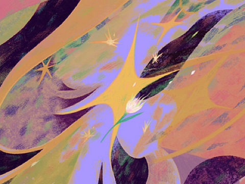 星光与安魂曲🕊✨