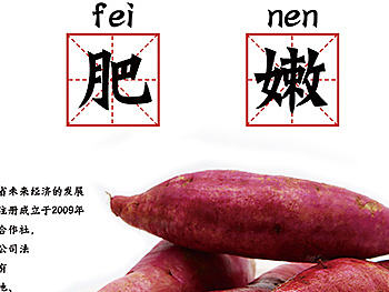 农特产品海报
