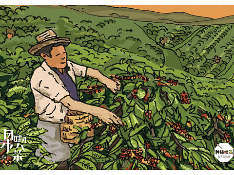 日本喫茶—毕设插画设计作品（个人主页-ZMTgzNDEyNDQ=） - 商业插画 - 站酷设计师xing鷇原创素材 - 站酷ZCOOL