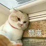 一有人一的头像