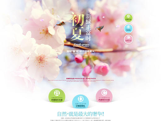 婚纱摄影专题（个人主页-ZMTY0NjY5ODA=） - 运营设计 - 站酷设计师沫小ccc原创素材 - 站酷ZCOOL