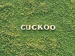 CUCKOO官网