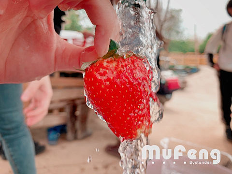 春（個人主頁-ZMzMzODQ3NTI=） - 風光攝影 - 站酷設(shè)計師Titkot原創(chuàng)素材 - 站酷ZCOOL