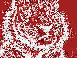 【虎年行大運(yùn)】新年快樂！虎年發(fā)大財(cái)！