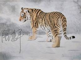 动物