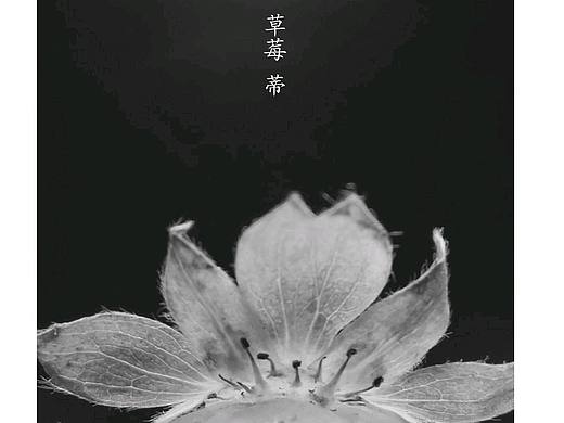 你不曾见过的草莓与向日葵（个人主页-ZMjcyNjQ2MzY=） - 风光摄影 - 站酷设计师香樟叶原创素材 - 站酷ZCOOL