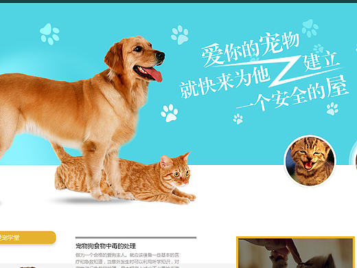 宠物网站首页