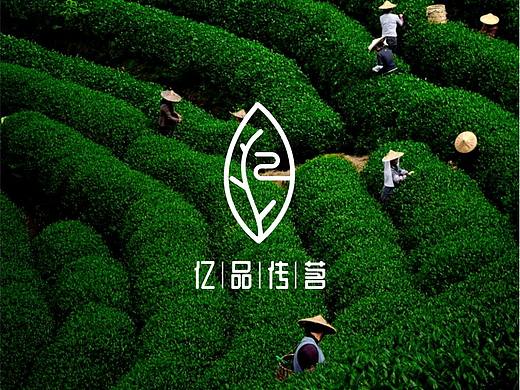 茶叶logo设计