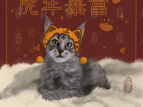 猫咪（虎年）（个人主页-ZNTg4MDI5ODA=） - 创作习作 - 站酷设计师石哥YSY原创素材 - 站酷ZCOOL