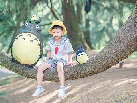 自然王国奇遇记