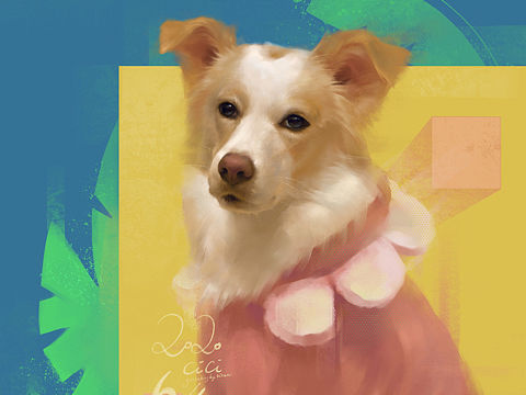 幸福的家中有条狗有条猫「写实」