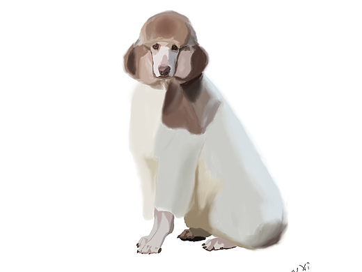 咖啡馆门口的狗