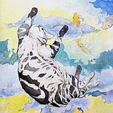 CHACHAOS的头像