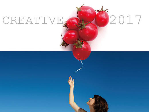 2017CREATIVE台历