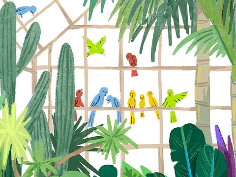 热带植物插画