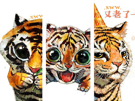 全球老虎日【萌宠 by 雪娃娃】