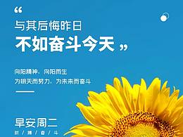 板式