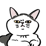 怪猫阿田的头像
