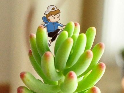 每日一图（个人主页-ZMTI1MjgwNzI=） - 儿童插画 - 站酷设计师毛毛是个虫原创素材 - 站酷ZCOOL