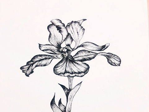 ?（個人主頁-ZNDI0ODYwNjQ=） - 藝術(shù)插畫 - 站酷設(shè)計師T__K原創(chuàng)素材 - 站酷ZCOOL