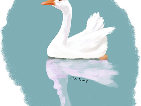 大鹅