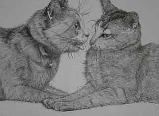 《KISS》