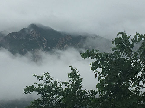 雨后凤凰山（个人主页-ZMTg1MjI1OTY=） - 风光摄影 - 站酷设计师你是罂粟花原创素材 - 站酷ZCOOL