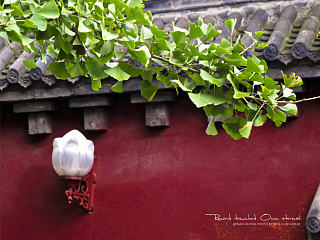 云臺(tái)（個(gè)人主頁-ZNTIwOTM3Mg==） - 風(fēng)光攝影 - 站酷設(shè)計(jì)師玩耍色彩_RickLi原創(chuàng)素材 - 站酷ZCOOL