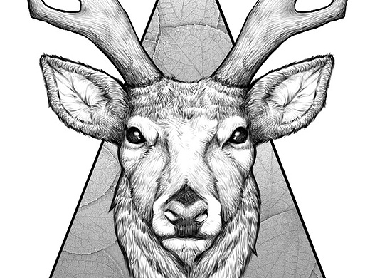 鹿头作品信息创作时间2017/02/23添加表情《楚歌》四