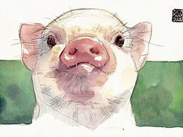 水彩动物插画随笔