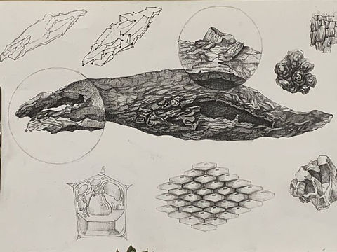 精微素描