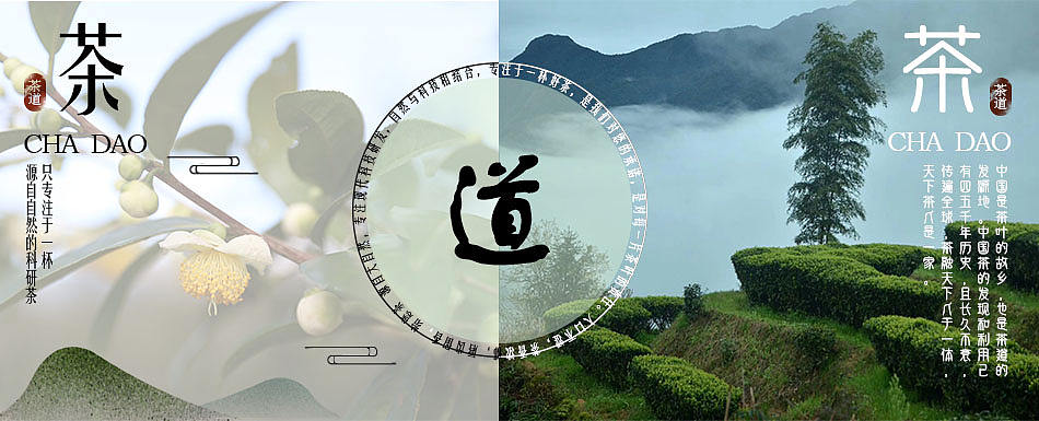 茶叶banner设计