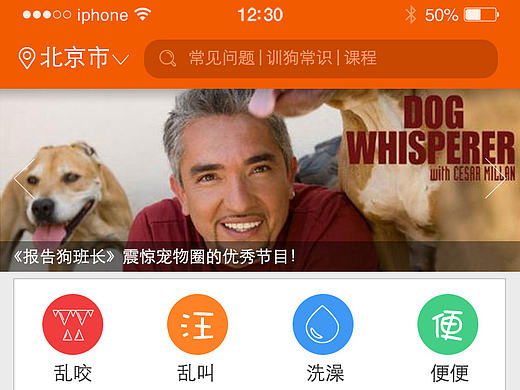 《乐宠有方》APP部分界面展示