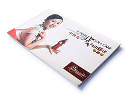 凯子/07-09年/作品集11/向阳坊08年中秋推广案之画册