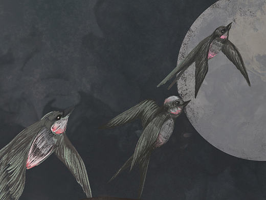 《竹取物语》插图创作——小五章 