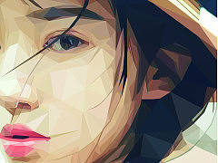 AI多边形插画练习（个人主页-ZMTgxOTM0ODA=） - 商业插画 - 站酷设计师和驴子去乐园原创素材 - 站酷ZCOOL