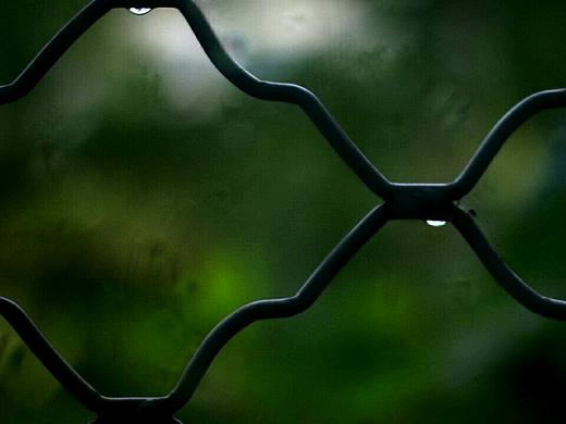 雨后