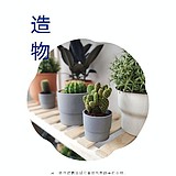 维卡摄影的头像