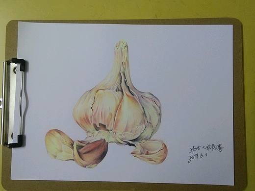 大蒜临摹（个人主页-ZMjIzMDQ5Njg=） - 创作习作 - 站酷设计师reading4ever原创素材 - 站酷ZCOOL