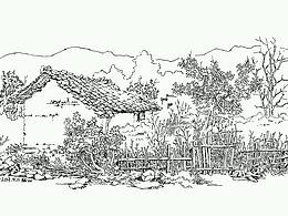 插画