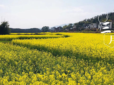 三月（個(gè)人主頁(yè)-ZMjYzMjE0NTY=） - 海報(bào) - 站酷設(shè)計(jì)師我不是設(shè)計(jì)師X原創(chuàng)素材 - 站酷ZCOOL